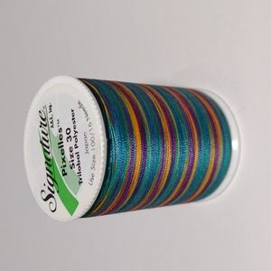 2/$20 Signature Pixelles Variegated Thread 500 YDS M27 Gems Rare